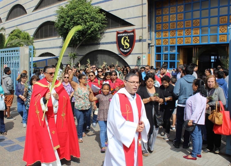 Multitudinario Domingo de Ramos marcó inicio de Semana Santa 2019